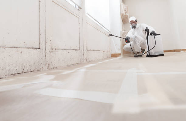 24/7 Emergency Mold Remediation experts in Salisbury, MD